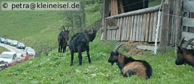 An einem Wochenende im September: Brotfest in Rauris