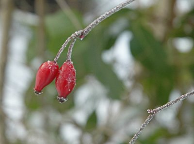 Winterimpressionen